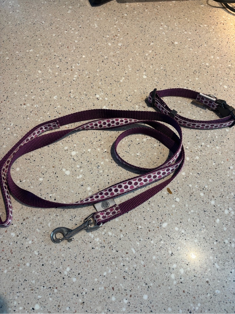 Purple Polka Dot Dog Leash and Collar Set